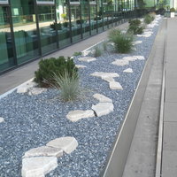 Gartengestaltung aus Steinen und grünen Sträuchern vor einem öffentlichen Gebäude