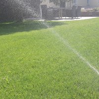 Rasenbewässerung mit Sprenkler
